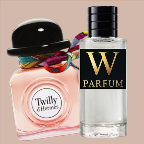 317 - Style Twilly d'Hermès Hermès
